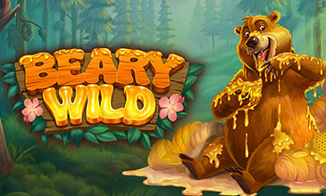 beary wild riches Latest Spinlogic gaming slot